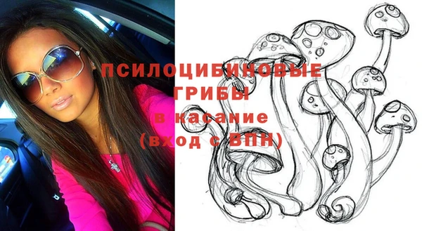 спиды Липки