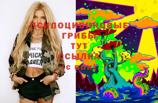 спиды Липки