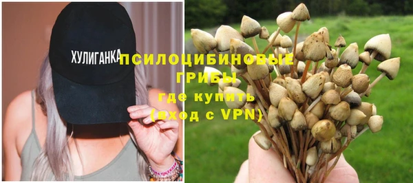 мескалин Медвежьегорск