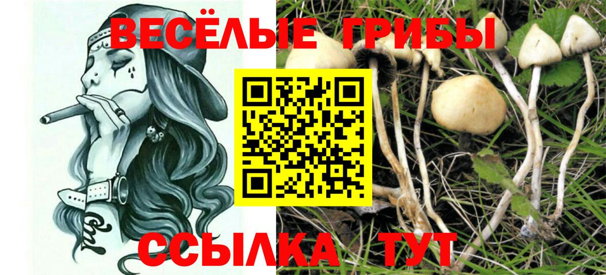 Псилоцибиновые грибы Magic Shrooms Пенза