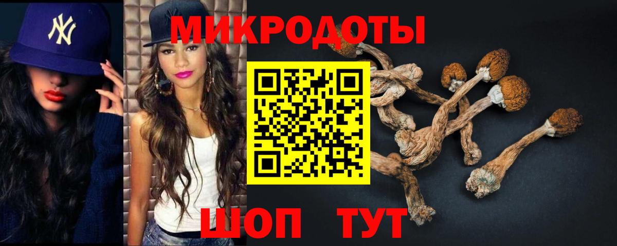 Галлюциногенные грибы ЛСД  даркнет сайт  Пенза  Вход с VPN  Галлюциногенные грибы Magic Shrooms 